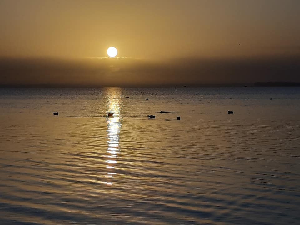 Sonnenaufgang am Ostseestrand nur 250 Meter von der Ferienwohnung Seeblick entfernt Sonnenaufgang am Ostseestrand von Sierksdorf